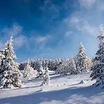شقة Altes Forsthaus - 