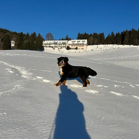 Altes Forsthaus - 