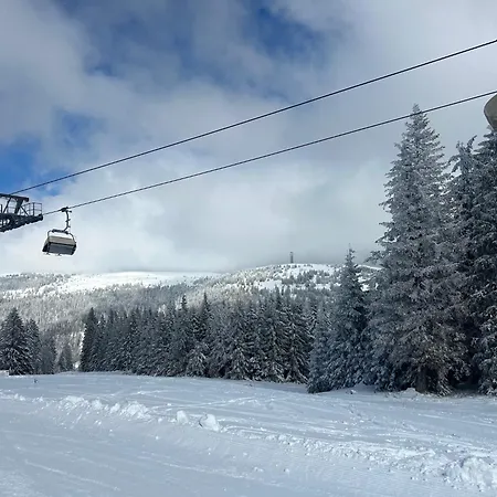 شقة Altes Forsthaus - 