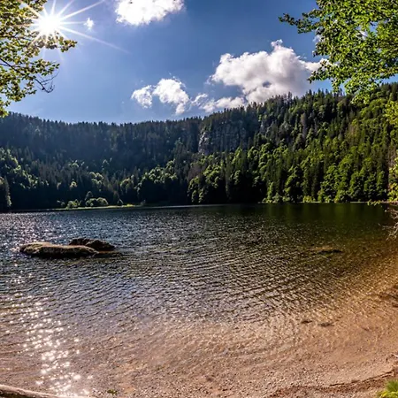 Altes Forsthaus - 